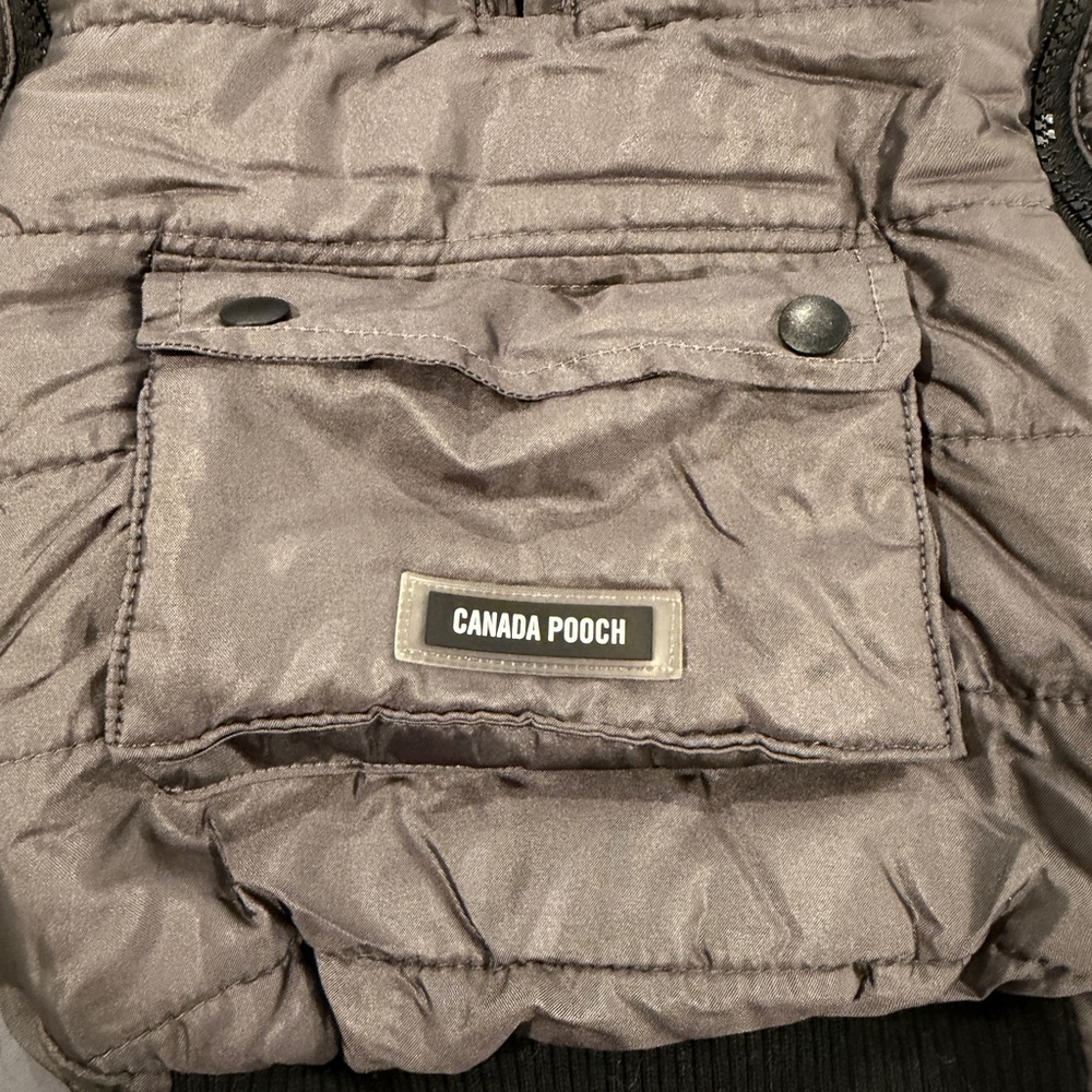 Canada Pooch Peak Performance Insulated Dog Vest, Gray 16